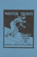 Winter Sports National Forests Poster